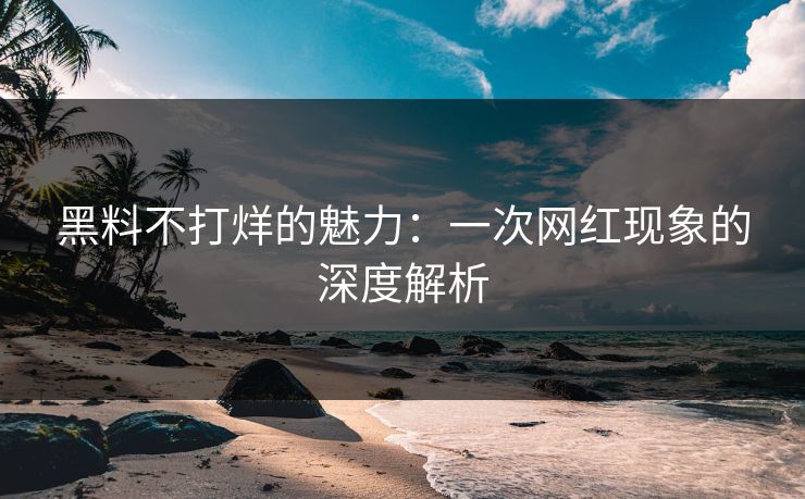 黑料不打烊的魅力:一次网红现象的深度解析