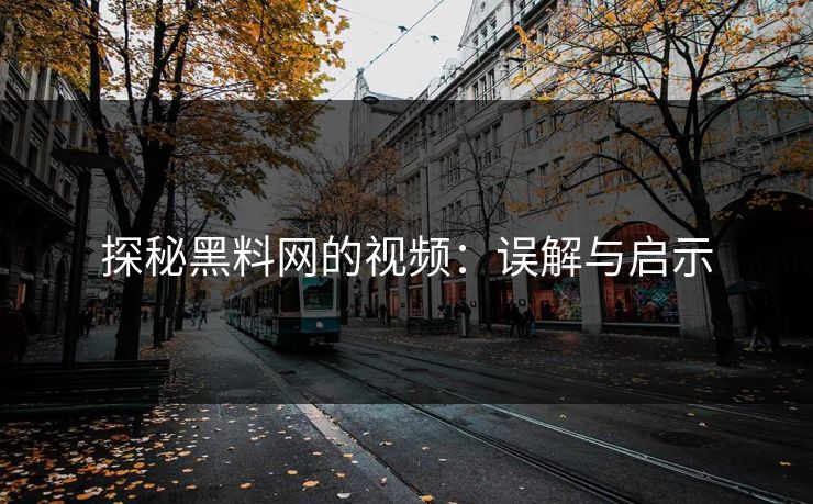 探秘黑料网的视频:误解与启示