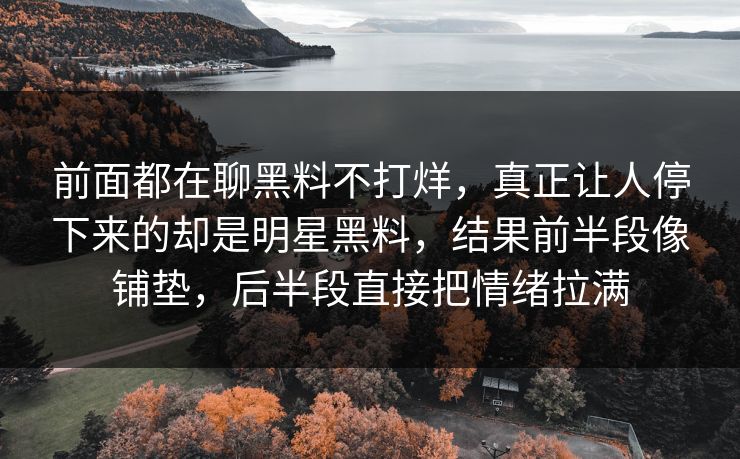 前面都在聊黑料不打烊,真正让人停下来的却是明星黑料,结果前半段像铺垫,后半段直接把情绪拉满