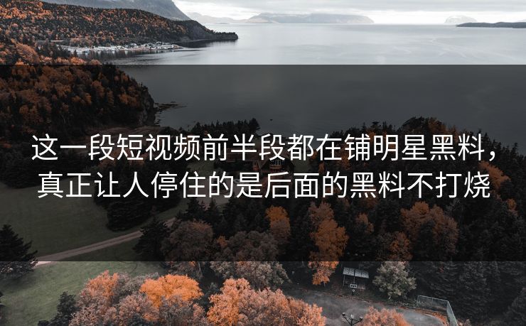 这一段短视频前半段都在铺明星黑料,真正让人停住的是后面的黑料不打烧